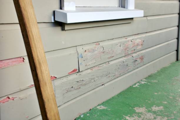 Best Hoarding Cleanup  in Georgetown, IN